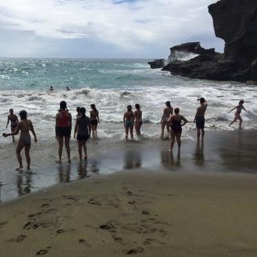 A group of students stand along the edge of a beach facing the waves. 